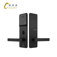 铁渝源 智能刷卡门锁 GT-1019/把