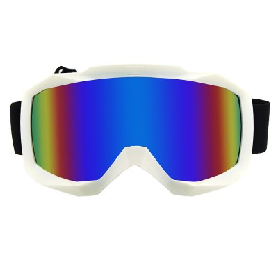 隆峰双层防雾可卡男女滑雪眼镜大球面雪地户外装备LF0663白框彩片