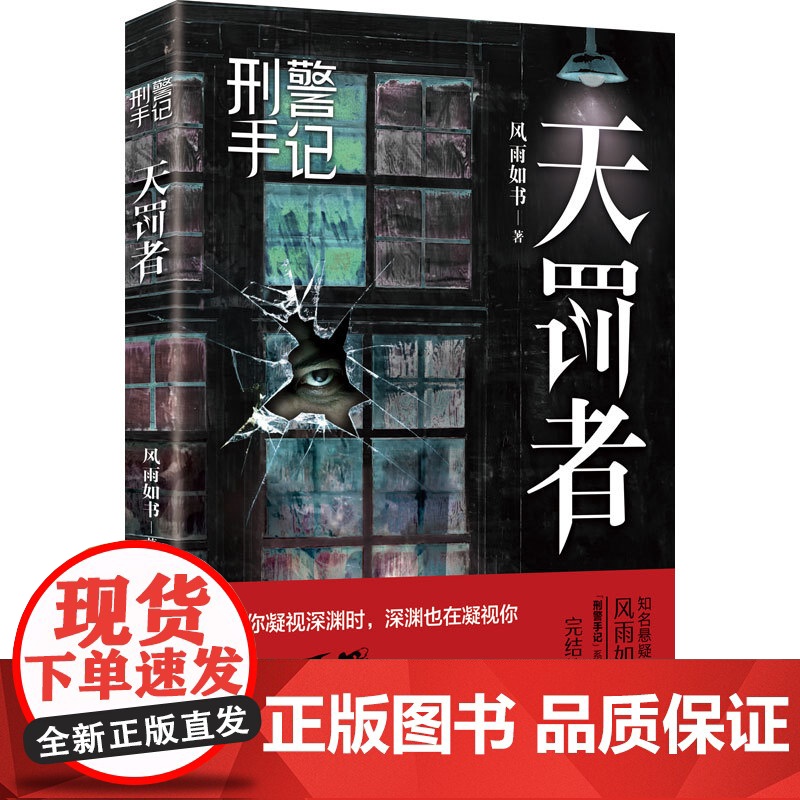 刑警手记天罚者 刑侦侦探悬疑犯罪小说 风雨如书著 花城出版社正版书籍