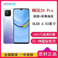 [全国联保]荣耀畅玩20 Pro 8GB+128GB 银色 全网通4G版 屏幕指纹 OLED 6.53英寸大屏幕智能手机