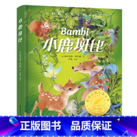 小鹿斑比 [正版]小鹿斑比精装国际大奖儿童文学美绘典藏版7-9-12周岁读物三四五六年级小学生课外阅读世界经典名著寒暑假
