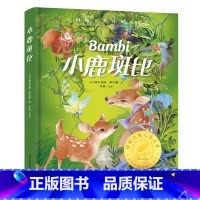 小鹿斑比 [正版]小鹿斑比精装国际大奖儿童文学美绘典藏版7-9-12周岁读物三四五六年级小学生课外阅读世界经典名著寒暑假