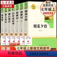 [全7册]七上名著必读+选读大全套 [正版]西游记和朝花夕拾人民教育出版社七年级上册鲁迅海底两万里和骆驼祥子原著下册完整