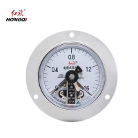 红旗 电接点轴向带边定制检测款 YX150 (压力值需备注) 块