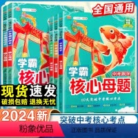 [5本全套]语数英物化 初中通用 [正版]2024新版中考核心母题七八九年级语文数学英语物理化学全套人教版基础知识手册大