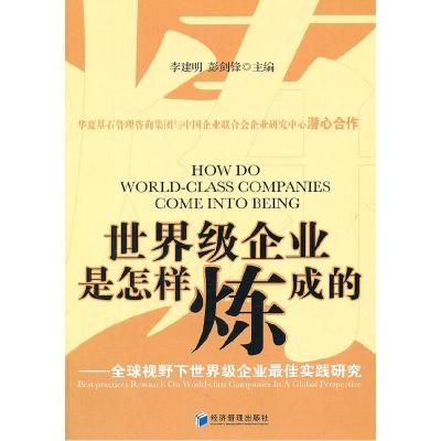 正版新书]世界级企业是怎样炼成的李建明 彭剑锋9787509615959