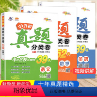 [正版]重点中学小升初 真题分类卷语文+数学+英语共3本 68所名校主编 小学升初中语数英总复习资料小学教辅书小考真题