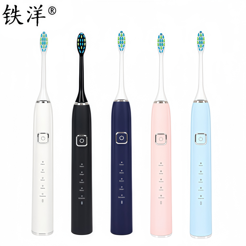 铁洋 电动牙刷 EA312 个