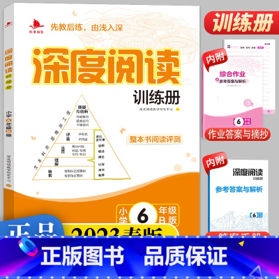 语文 六年级下 [正版]2023春版深度阅读训练册小学六年级B版人教版注音版6年级语文上下册通用课外练习册阅读理解看图说