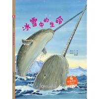 正版新书]中国原创图画书:冰雪中的生命王玮;冯莺;赖振辉9787