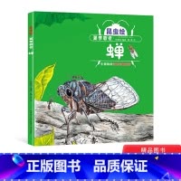 夏季歌者:蝉 精装 [正版]夏季歌者蝉硬壳精装绘本图画书昆虫绘手绘科普3岁4岁5岁6岁让孩子们了解蝉的图画书童书幼儿园