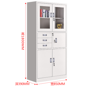 风雷动钢制办公文件柜铁皮柜矮柜资料密码带锁凭证档案员工储物更衣柜