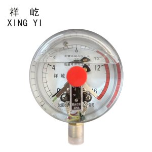 祥屹+抗震耐震电接点压力表检测定制型+YNXC100 +块