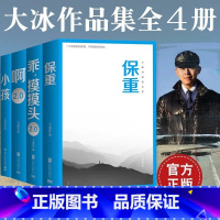 大冰作品集共4册 [正版]大冰作品集套装 保重 乖摸摸头2.0 大冰的书 新增10万字大冰2.0新书作品集小孩啊2.0小