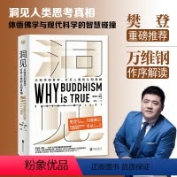 [正版]洞见(读创)洞见:从科学到哲学罗伯特·赖特 进化心理学为什么佛学是真的万维钢作序认知真相 哲学与人生书籍