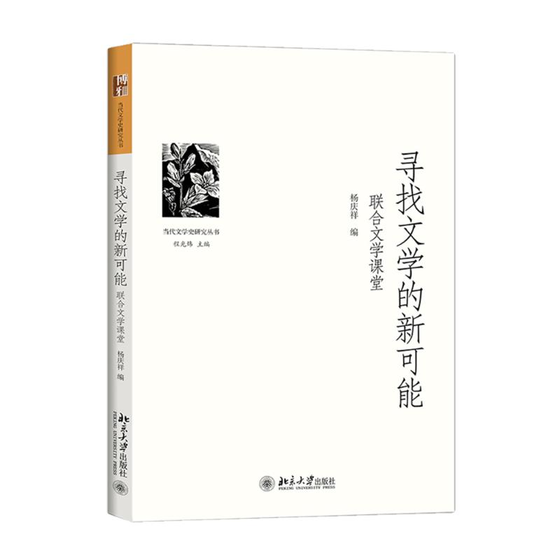 音像寻找文学的新可能杨庆祥 编