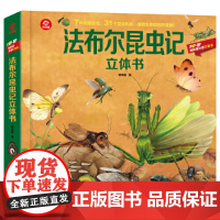 POP-UP呦呦童科普立体书:法布尔昆虫记立体书直观的参与感与体验感知识性与趣味性的完美集合激发孩子学习的乐趣获得丰富的