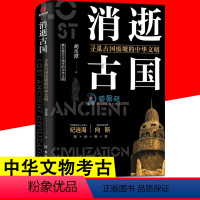 [正版]消逝古国 寻觅古国废墟的中华文明 宝藏国宝帝王陵墓考古现场系列趣读中国历史文化遗产科普百科历史知识读物文物考古