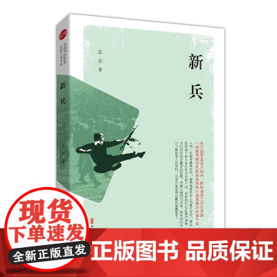 新兵(实力榜·中国当代作家长篇小说文库)