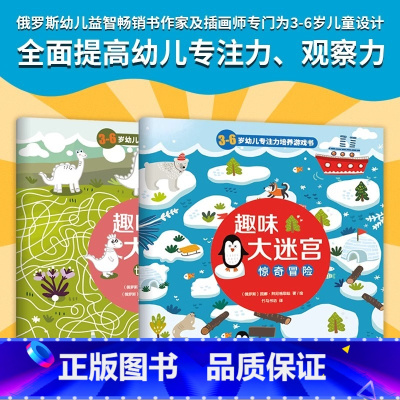 趣味大迷宫全2册 [正版]趣味大迷宫全2册儿童经典趣味情景大迷宫:俄罗斯幼儿益智书作家及插画师专门为3-6岁提高儿童专注