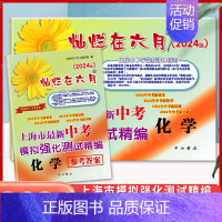 中考模拟精编[化学](试卷+答案) 九年级/初中三年级 [正版]2024灿烂在六月上海中考真卷全套语文数学英语物理化学