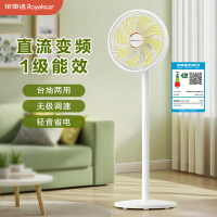 荣事达电风扇直流变频一级能效大风力节能台立式两用电扇落地扇卧室轻音风扇2025新款