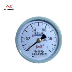 红旗 轴向氧气压力表定制检测款 YO60Z(压力值需备注) 块