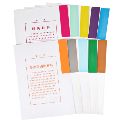 诚信东方干部人事十大类分页纸分类纸隔页纸一套10张10套装干部人事档案配套系列