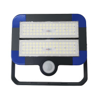 鼎晟丰(DSF)DSFGZ-936T-100 220V 100W IP66 LED LED智睿全维智能泛光灯 (计量单位:个)