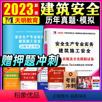 [正版]2023年版全国中级注册安全工程师职业资格考试用书安全生产专业实务建筑施工安全技术5套真题3套模拟历年真题详解