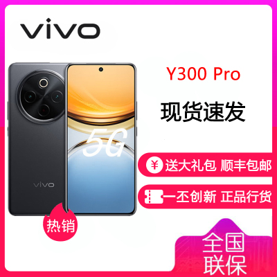 vivo Y300 Pro 墨玉黑 12GB+512GB 骁龙6 5G芯 6500mAh电池 80W充电 5000万高清影像 5G 手机