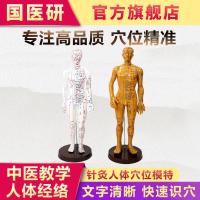 国医研高清晰针灸穴位人体模型全身经络穴位模型中医针灸教学男女