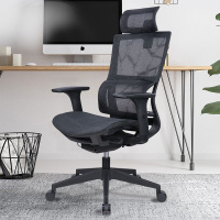 全简人体工学电脑椅可躺老板椅办公椅可升降进口网布转椅