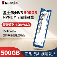 NV3 500GB M.2接口NV3固态硬盘 游戏高性能版三年质保 甲骨龙 固态硬盘单硬盘5000读速
