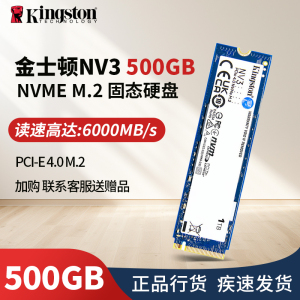NV3 500GB M.2接口NV3固态硬盘 游戏高性能版三年质保 甲骨龙 固态硬盘单硬盘5000读速