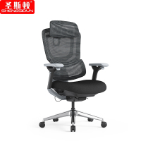 圣斯顿 人体工学办公椅 S-J520AY 740*680*1145-1210mm 黑色 把