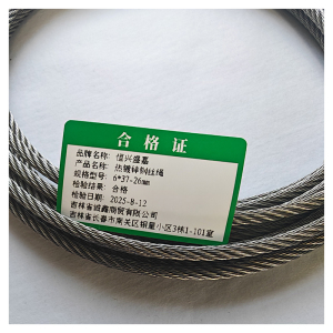 恒兴盛嘉 镀锌钢丝绳 米