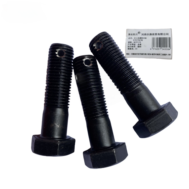 清玖熙月 外六角螺丝8级 打孔可定制 M22*170 单位:个