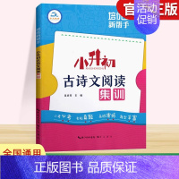 小升初古诗文阅读集训 小学升初中 [正版]2024新版小升初古诗文阅读集训 培优新帮手小学生六年级上下册小考古诗词文言文