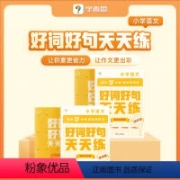 好词好句进阶版(3-6年级) 小学通用 [正版]好词好句天天练基础进阶语文好段大全小学小学专项练习复习同步辅导积累阅读强