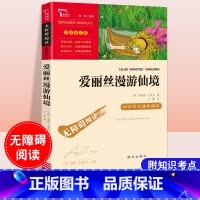 [六年级下册]爱丽丝漫游仙境 [正版]童年六年级必读课外书快乐读书吧小英雄雨来爱的教育全套原著小学生阅读课外书儿童文学故