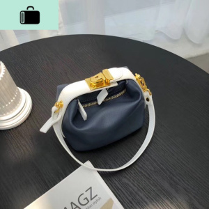 网红便当包2020新款牛皮迷你斜挎小包女手提小方包高级质感单肩包NEW LAKE女士手提包