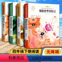 [正版]新版快乐读书吧四年级下册十万个为什么苏联米伊林看看我们的地球灰尘的旅行人类起源演化过程 4年级下课外书必读阅读