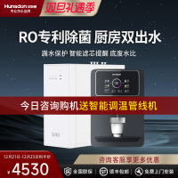 汉斯顿净水器家用直饮0阻垢剂ro反渗透纯水机厨房净水机S1(S90)