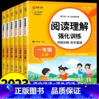[全套5册]阅读理解+写作+看拼音+字帖+计算题 五年级下 [正版]小学语文阅读理解专项训练书人教版 一年级二年级三年级