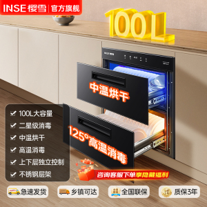 樱雪(INSE)RTD100E-2531(B)W消毒柜家用 嵌入式消毒柜 100L大容量镶嵌式二星消毒 厨房消毒碗柜