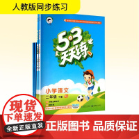 大V小学2年级下册 人教版 53天天练 (语文、数学)+53随堂测 (语文、数学)2018春季版(平装 套装共4册) 教