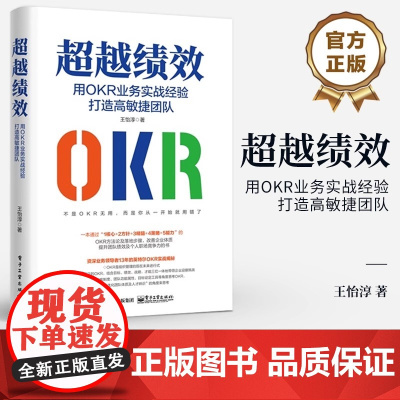 正版 超越绩效 用OKR业务实战经验打造高敏捷团队 OKR方法论 OKR成功导入的关键落地步骤书 团队绩效个人职场竞争力