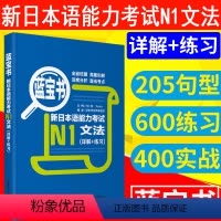[正版]日语 N1 蓝宝书.新日本语能力考试N1文法(详解+练习) 日语能力考一级真题语法华东理工