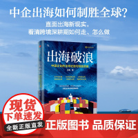 出海破浪 中国企业的全球征途与制胜策略 王勇著 中信出版社图书 正版